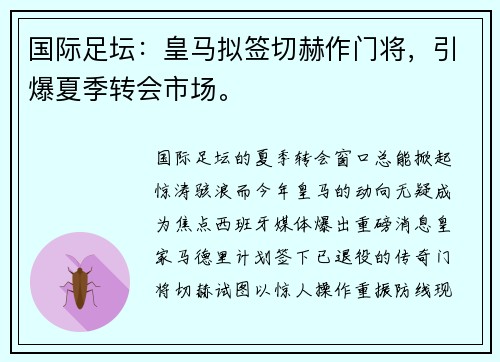 国际足坛：皇马拟签切赫作门将，引爆夏季转会市场。